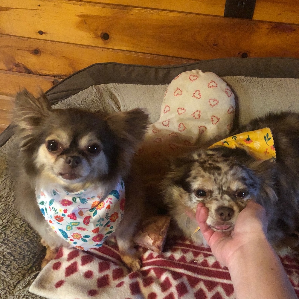 Meet your Posher, Jody